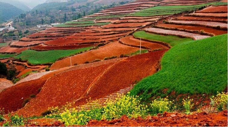 中國(guó)土壤幾病癥，該如何管理土壤？