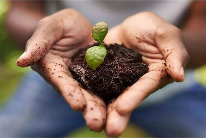 腐植酸修復(fù)土壤真那么神奇嗎？