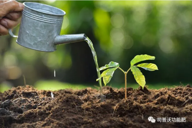 如何識(shí)別土壤酸堿性？6招讓你成為判斷高手！