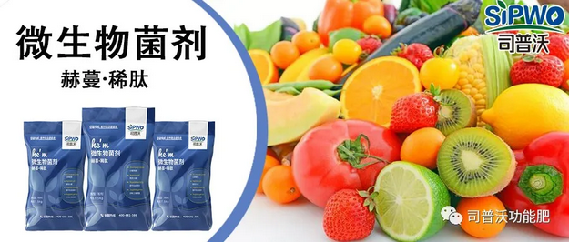 赫蔓微生物菌劑-分解毒素、改良土壤、調(diào)節(jié)生命活動、抑制土壤病菌