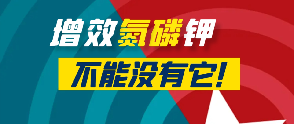 要想作物長得好，中量元素少不了！