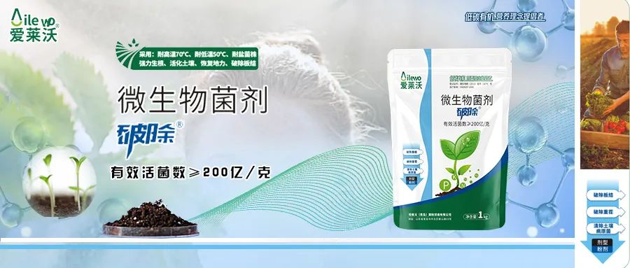 愛萊沃·微生物菌劑_破除|沃土、生根、抗病一步到位