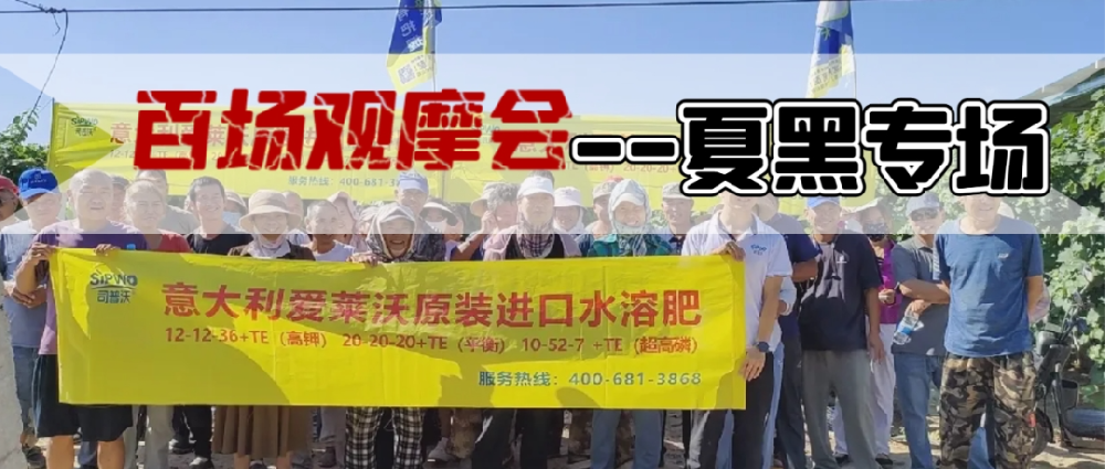 新疆博樂地區(qū)夏黑葡萄觀摩會圓滿成功，司普沃功能肥閃耀全場