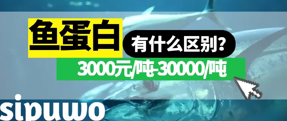 3000-30000元/噸的魚蛋白有多大差距？一篇文章告訴你！