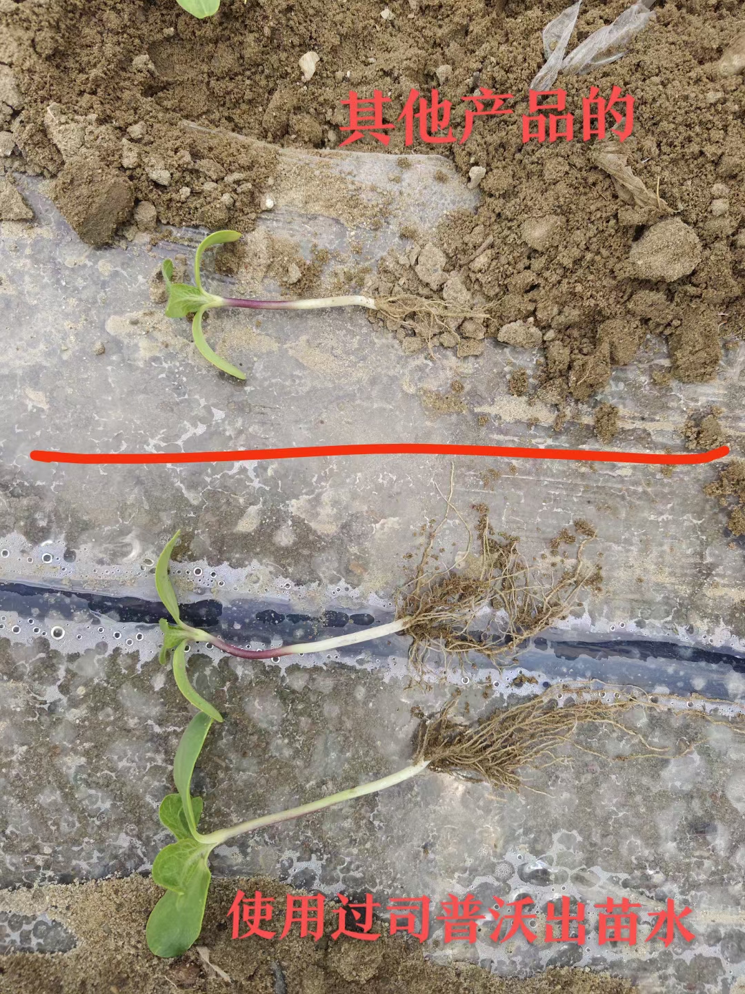 種地也有“秘密武器”？司普沃三活三抗套餐來揭秘！