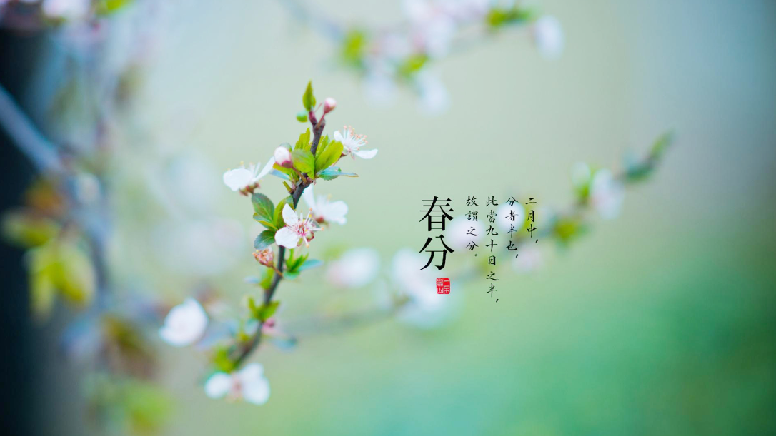 春分在中国传统文化中的意义是什么？